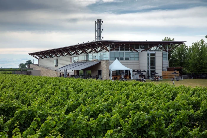 Jackson-Triggs Winery